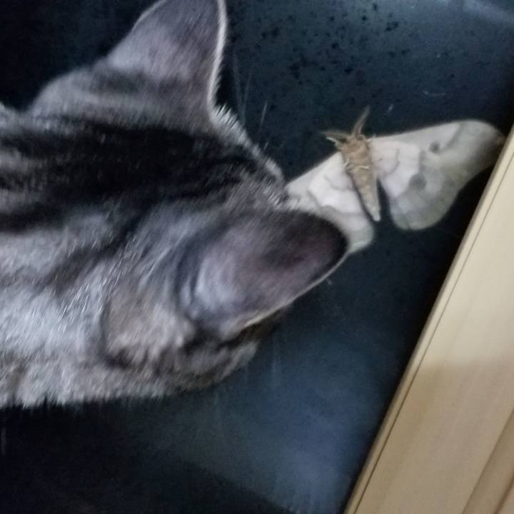 Afb507ee d73a 4e64 9848 a02671943d8f 1693258342976