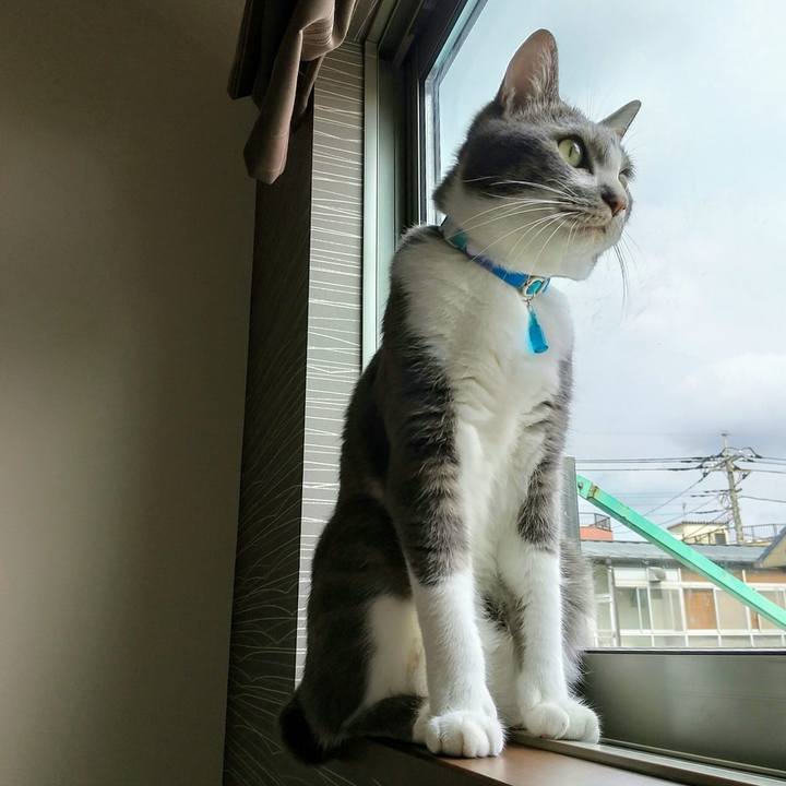 Afb53a0c 17fc 4ef7 978e 97f81e623304 1623544609663