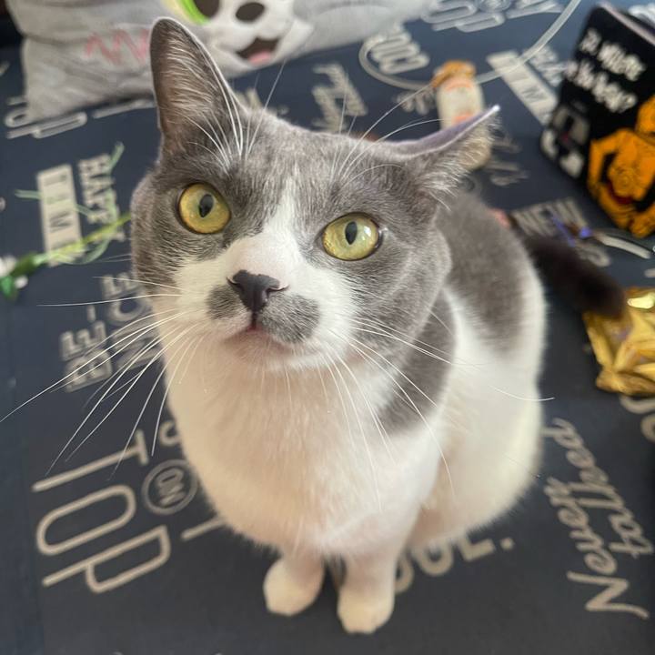 Afb5984d 62dd 46e7 9895 760b936c3689 1729388051238