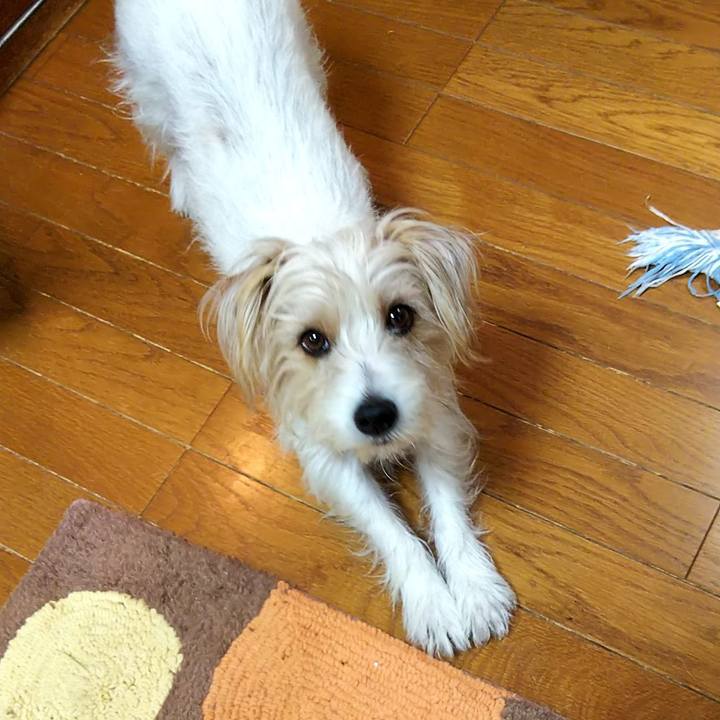 Afb59a69 a08d 4183 b684 719867f9ad41 1551219437191