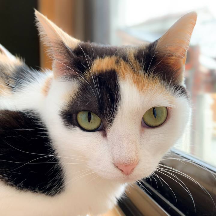 Afb5f2f1 c3ea 4389 adca 91b4cd823733 1592617543787