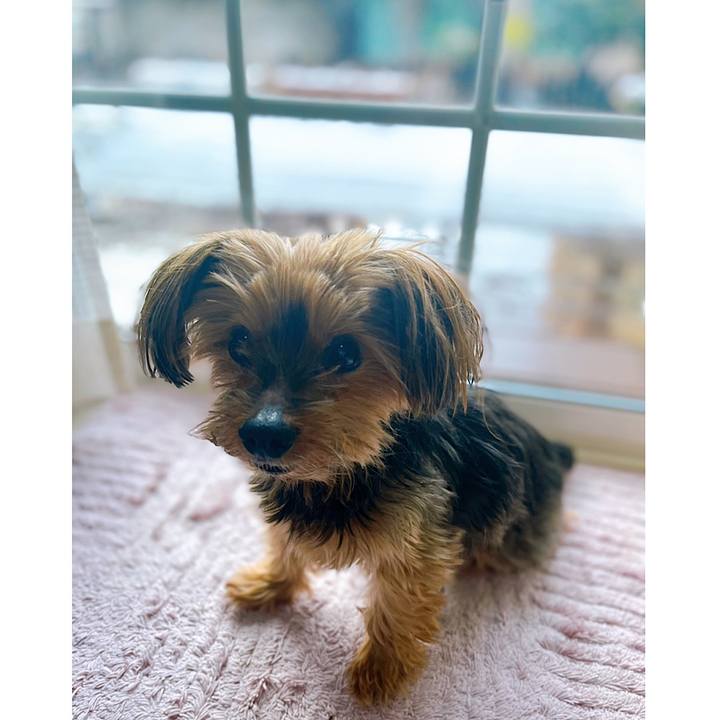 Afb606de 8a68 4887 a103 b692e9e9b023 1644533256086