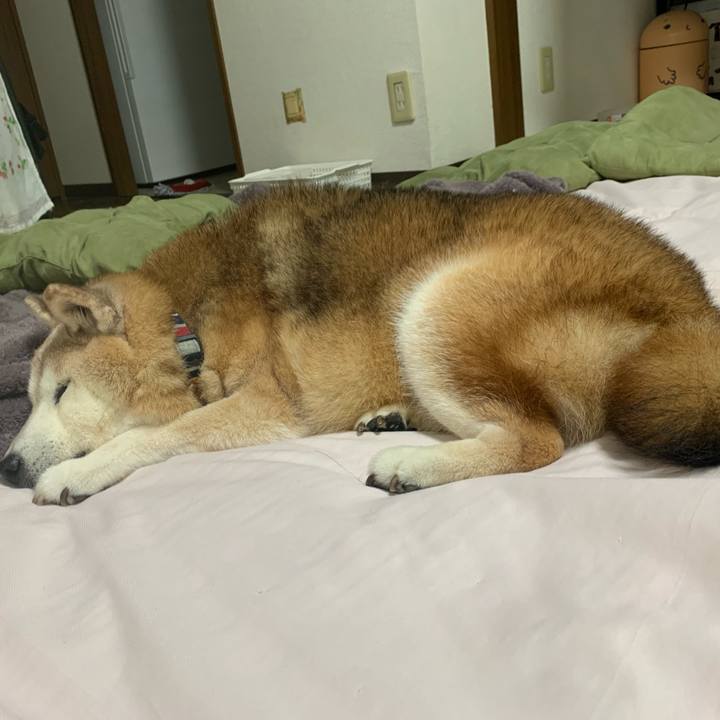 Afb6077a dfc4 47fe ac4c 1608f64257d2 1700147516608