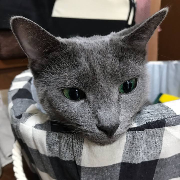 Afb60fee 9f82 42fc 9eea f3a4e5e260bf 1538375178896