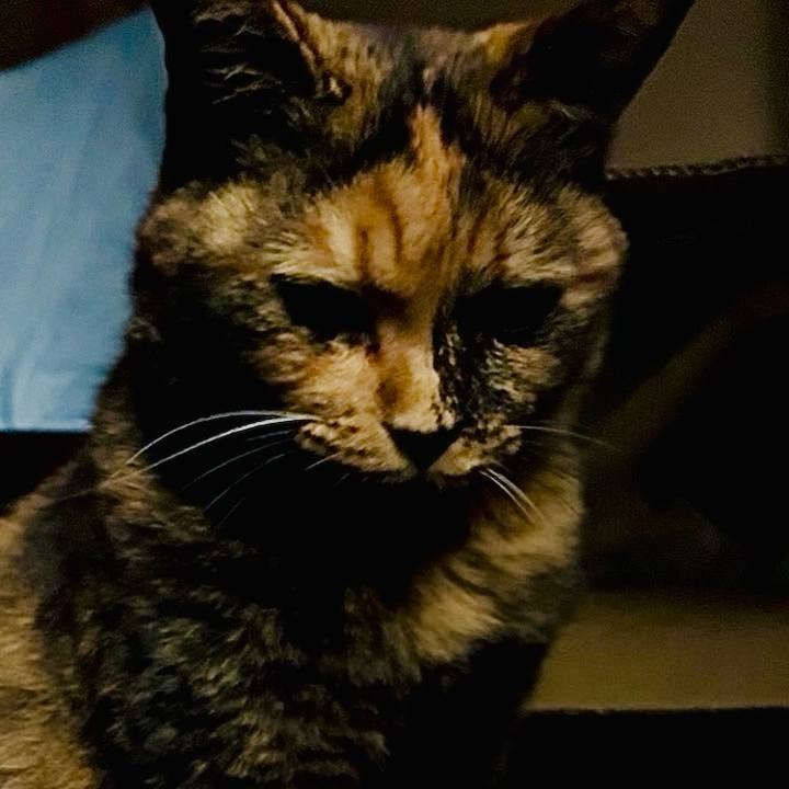 Afb63a62 c37f 418e 84ba a3fd2f1e779a 1759004515560