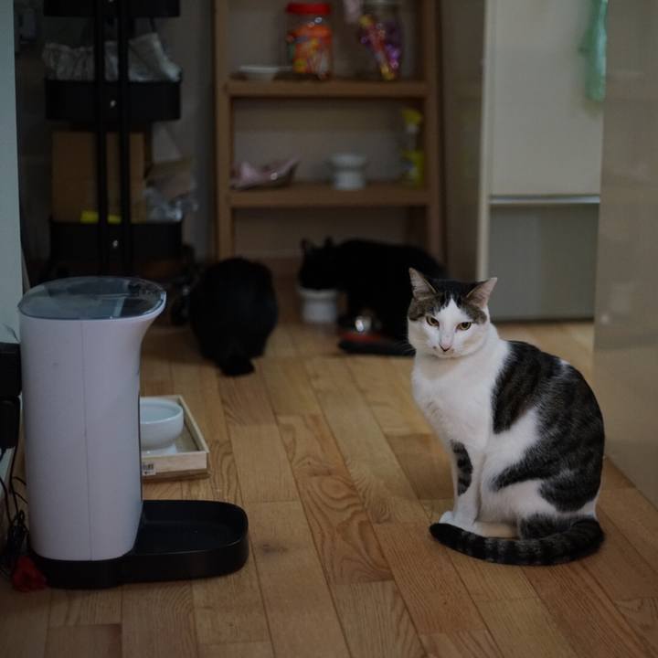 Afb65acc 1396 4113 88d9 37294856e7aa 1519860654346