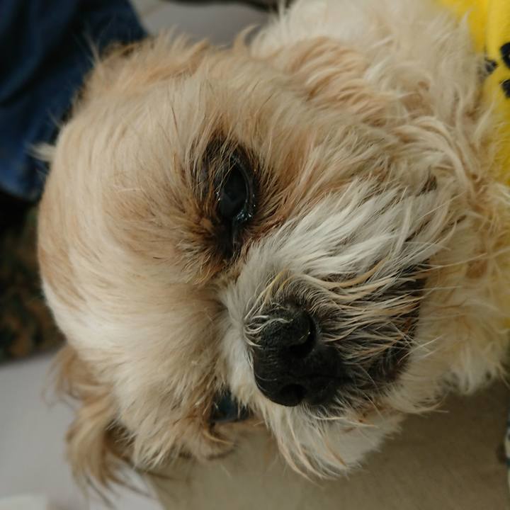 Afb65c85 f0bf 4c33 ab71 fc4349fed31d 1533269472723