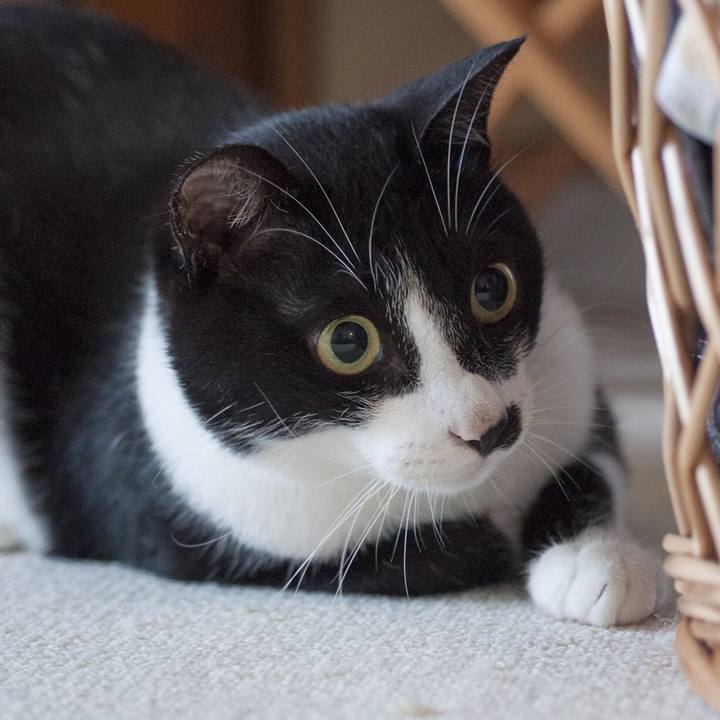 Afb66345 62ad 4869 b069 2ca5be95c9a8 1531218284985