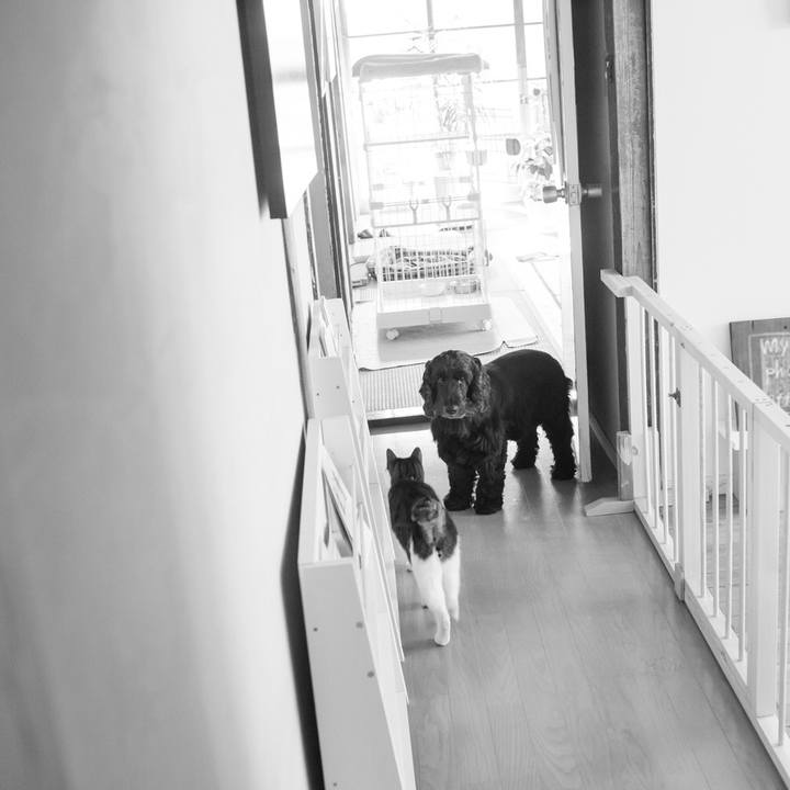 Afb66e6f bb5a 4c7e bcf3 e1e03d09fe13 1548589082346