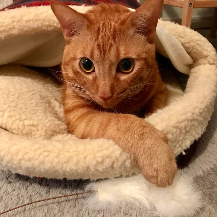 Afb6a743 8aa6 4984 bbf7 dc473dab8469 1605017998458