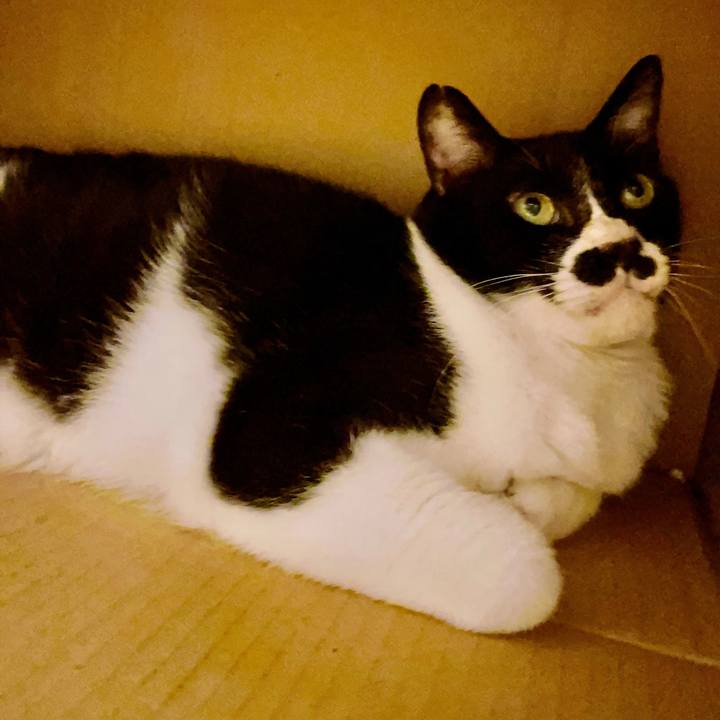 Afb6d066 d0ed 4970 929c 244322e0bed4 1691069984122