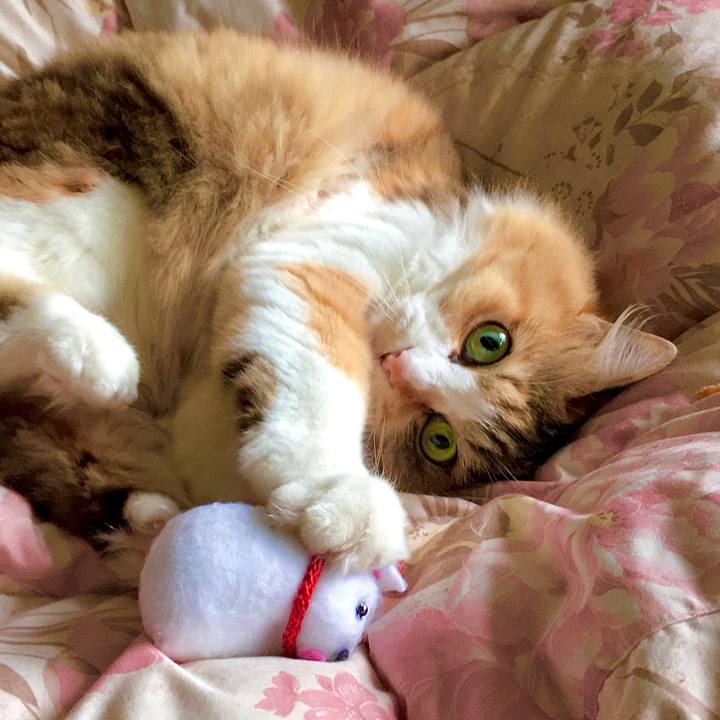 Afb6db9d 2600 4bc9 ab02 00b1013ec588 1589956565008