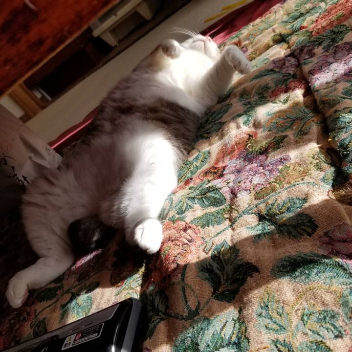 Afb6e79e 80e7 4c8d b113 ad339e53820f 1639054269061