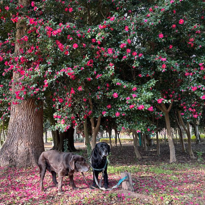 Afb6e7bb af6d 4109 979b ae9de283c94b 1769339641319