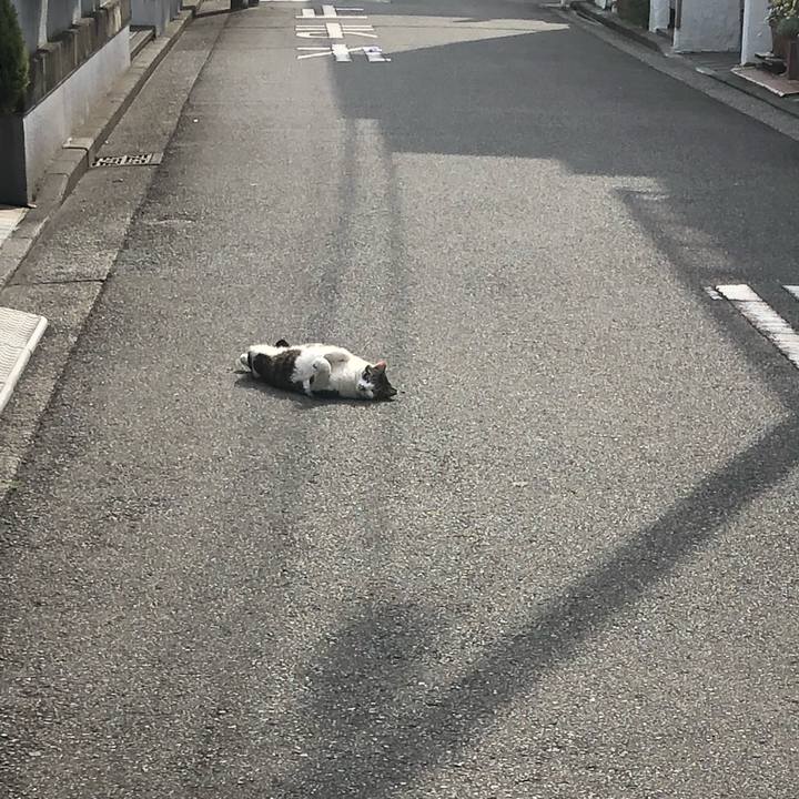 Afb6fd33 4a08 4e37 8f03 8a2f937704eb 1557054455564