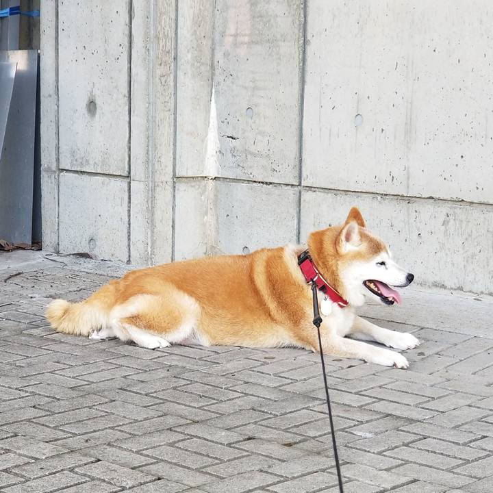 Afb727c7 0f61 4cbb 813b cc386ac8540f 1724656171516