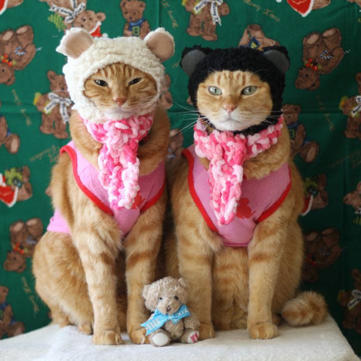 Afb77868 5292 45ad 8fac 053aa906a311 1513950168634