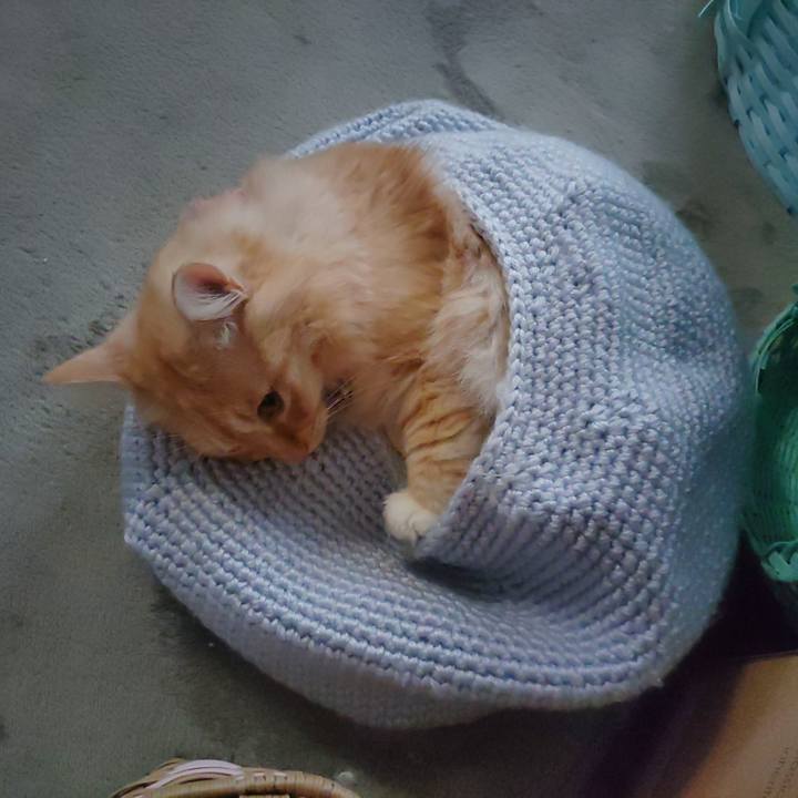 Afb7a28b 57f3 4675 92ba 9c8f02e968dd 1664942956213