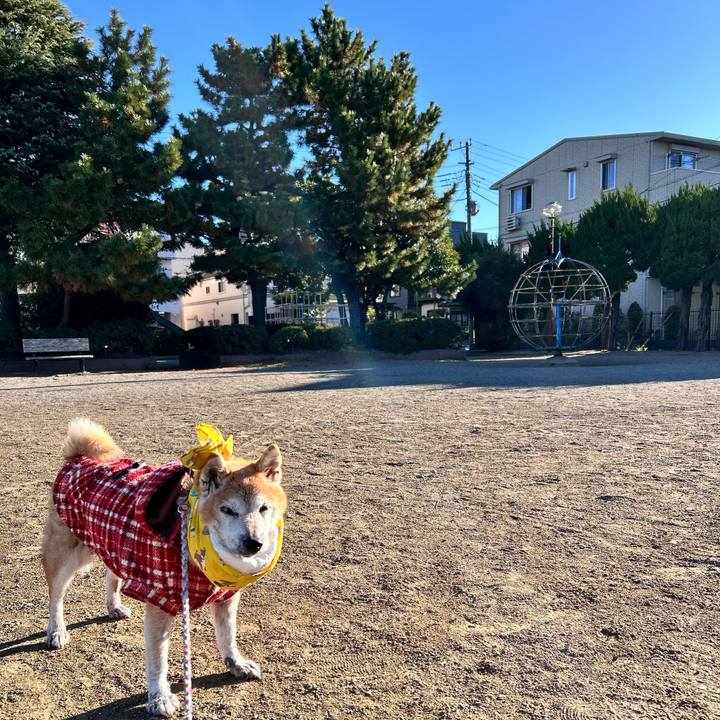 Afb7a86a 9bc5 4fcf 87e1 a324b74ef555 1764806779865