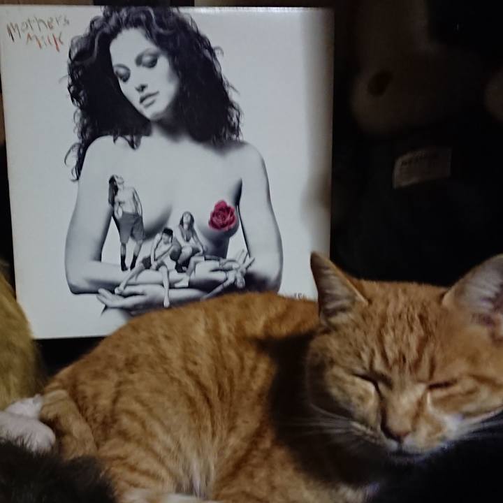 Afb7ac91 6921 46c8 b1b5 19b2adab690f 1606640596801