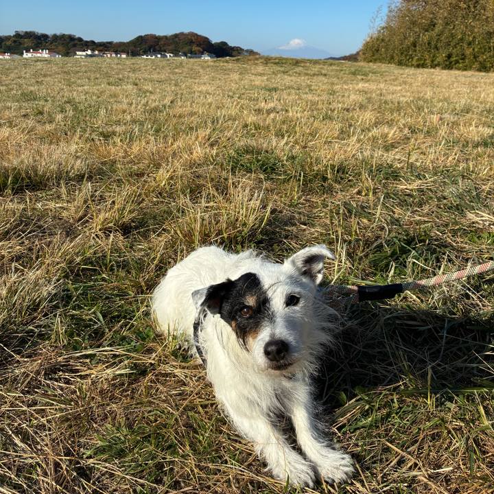 Afb7e0a7 6fd8 4a98 bb5d 96dacfe92754 1764549625231