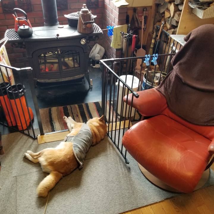 Afb7f700 3527 4fab 82ca 3e8f1a043018 1645574027393