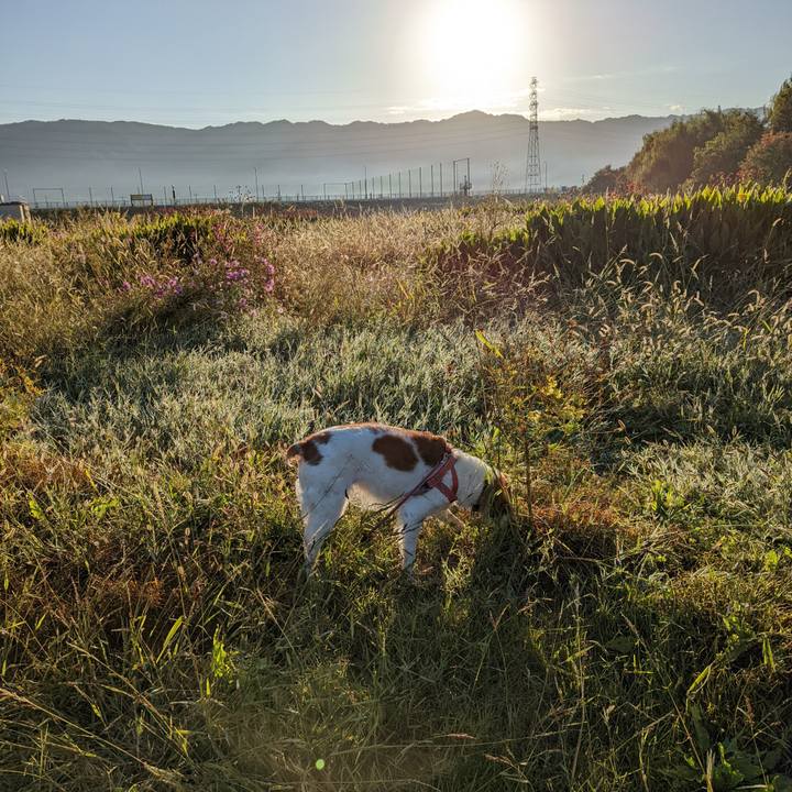 Afb7ff5a 3a8a 4577 9c97 27f1513d3644 1635554709854