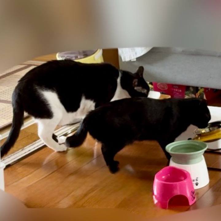 Afb88c3a f012 4e9e b0c5 8f7ae2114cf5 1751409946028