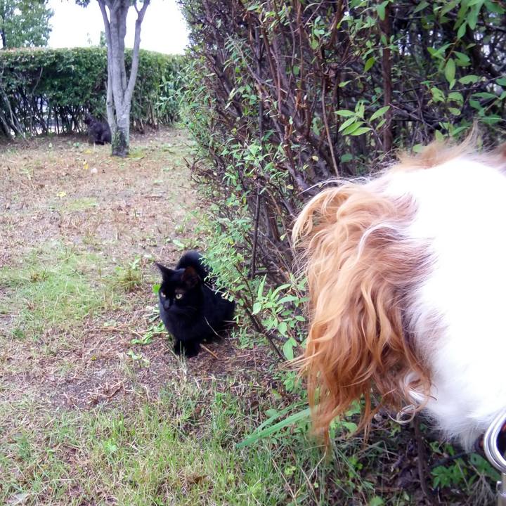 Afb88ccd 90da 4183 83f4 4149581a82f5 1508403663970