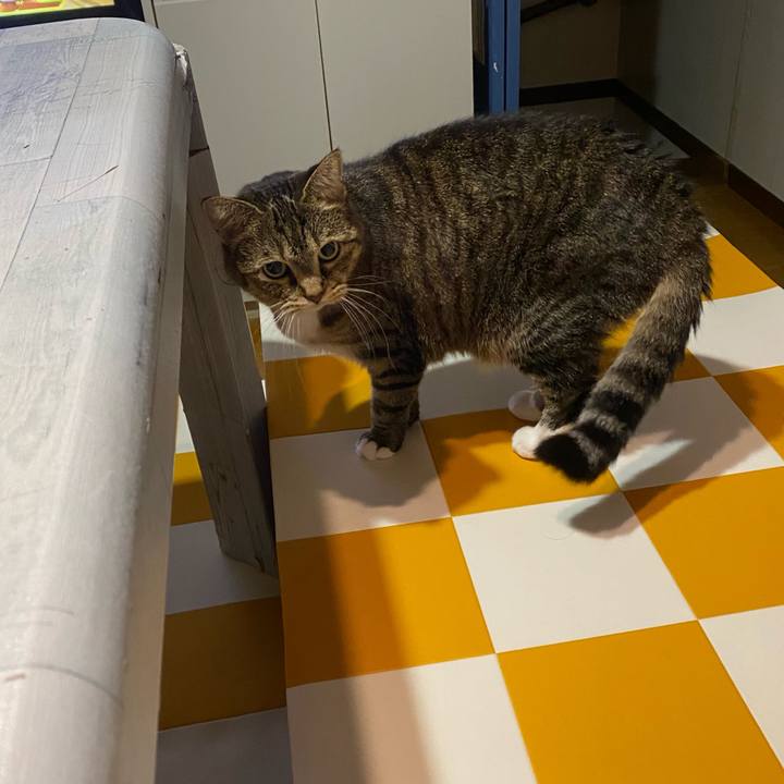 Afb89934 6931 4af1 85d3 5f072309d059 1698247239453