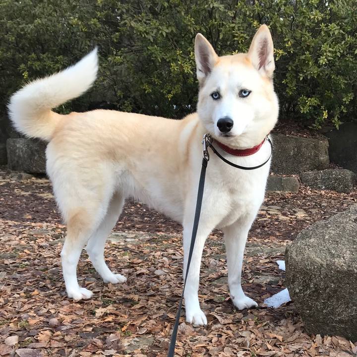 Afb8beec d096 4ace be47 05795284b3c5 1517447937289