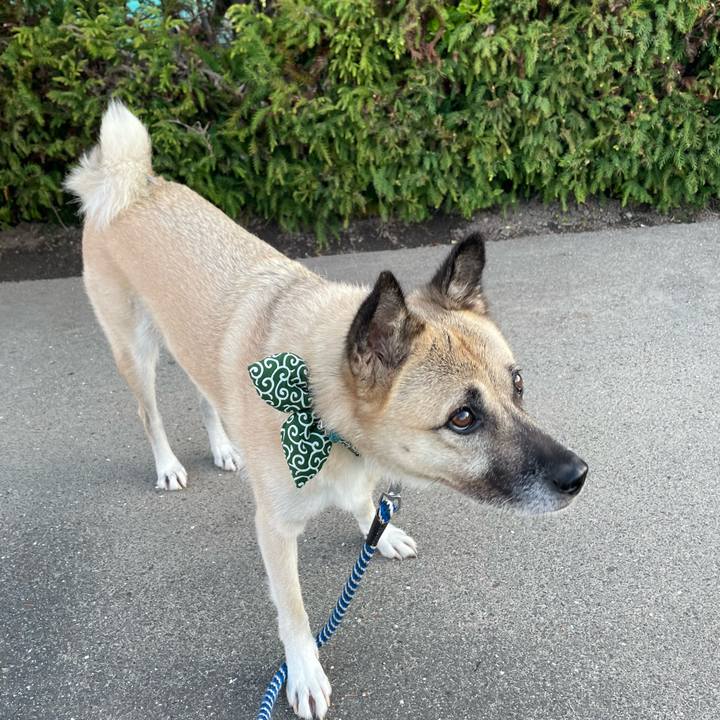 Afb8c18c d432 4961 ba8b 03d7de65a97d 1664886809027