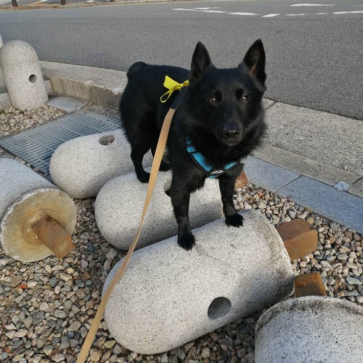 Afb8ee0e 962d 4f08 b9cb 8340193b9cdd 1642292349225