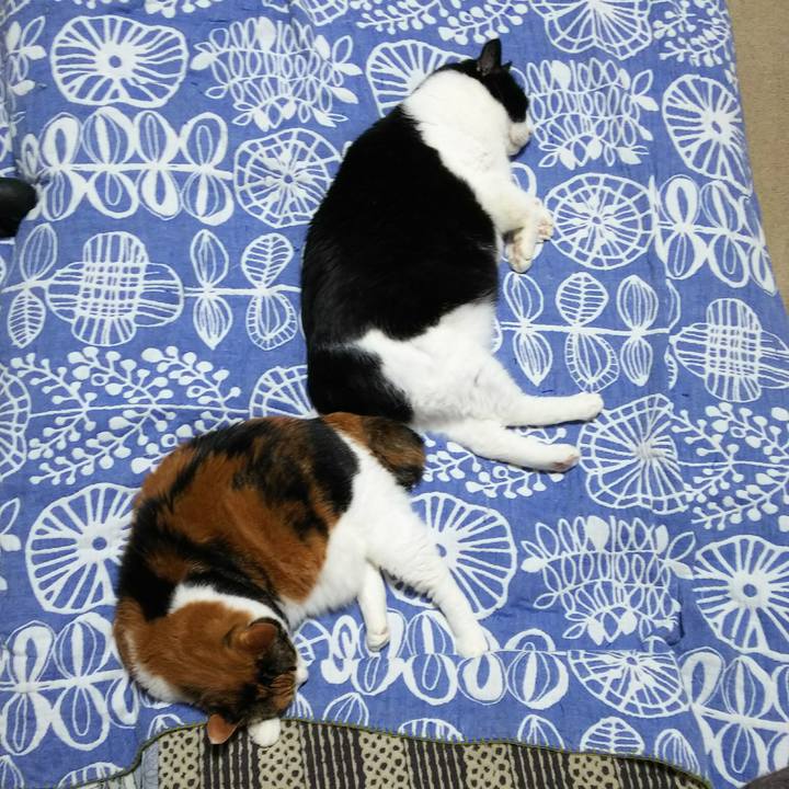 Afb908b8 a66e 4c50 a79a 0db2c414203f 1529854075854