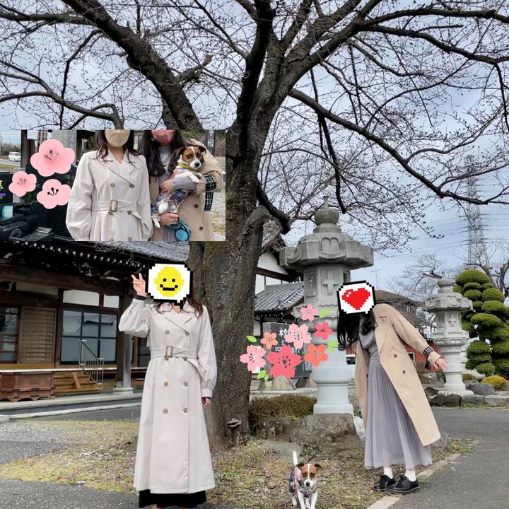 Afb93c99 45a9 440e bc8d 14e2d0d31eb3 1647761880425