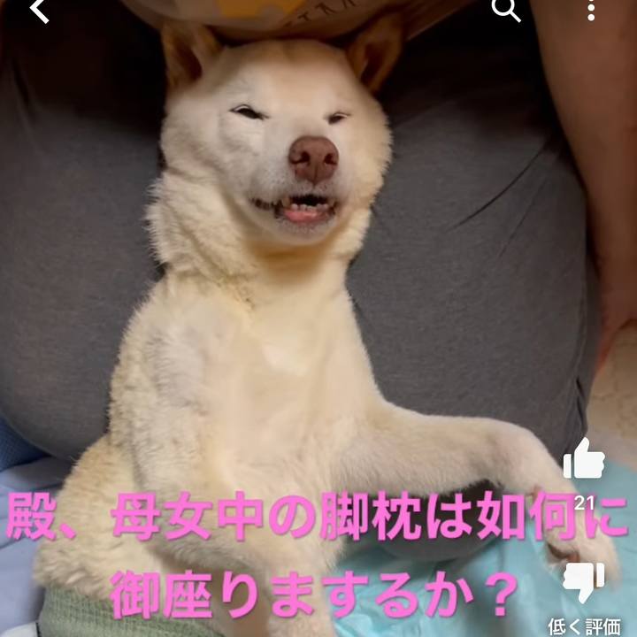 Afb94af9 ca9e 42d2 a67b 97a7419b0e02 1668183437762