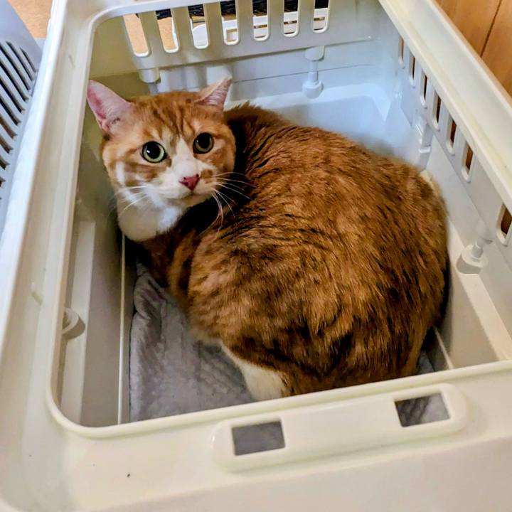 Afb968c5 5ecf 4c47 8c57 75d18dbf1cef 1769598905451