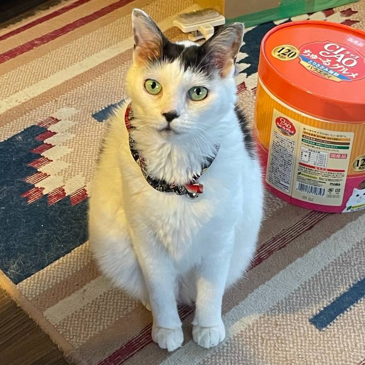 Afb97eb9 ee11 44a3 a3e5 75dae8808e0f 1724239907545