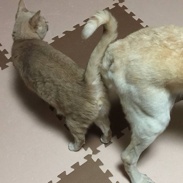 Afb99652 c781 4a51 948c 3c0d812886dc 1561937392229