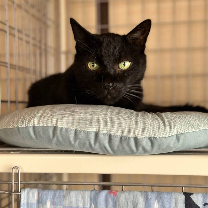 Afb9b4f7 3494 4bd9 a7d5 497b4a487dae 1696470068347