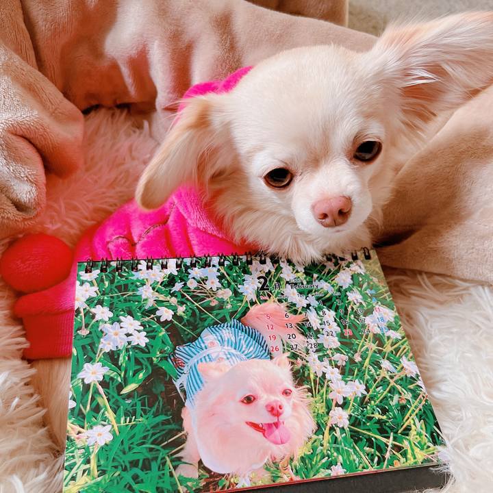 Afb9c1c6 5248 4bf3 ae46 2f3cba069a24 1675249994043