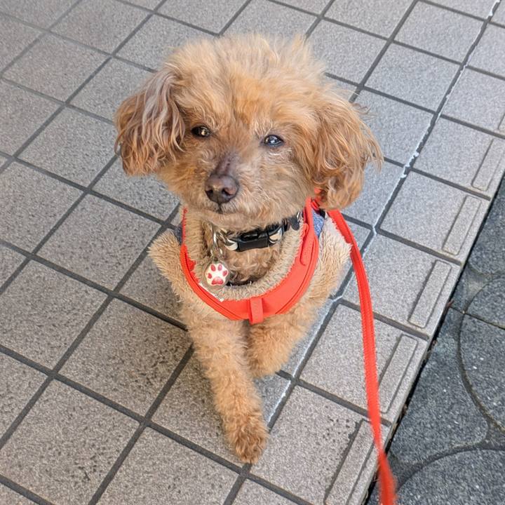 Afb9c78e 0196 4915 a8af dd82ccbf4b4e 1773976580627