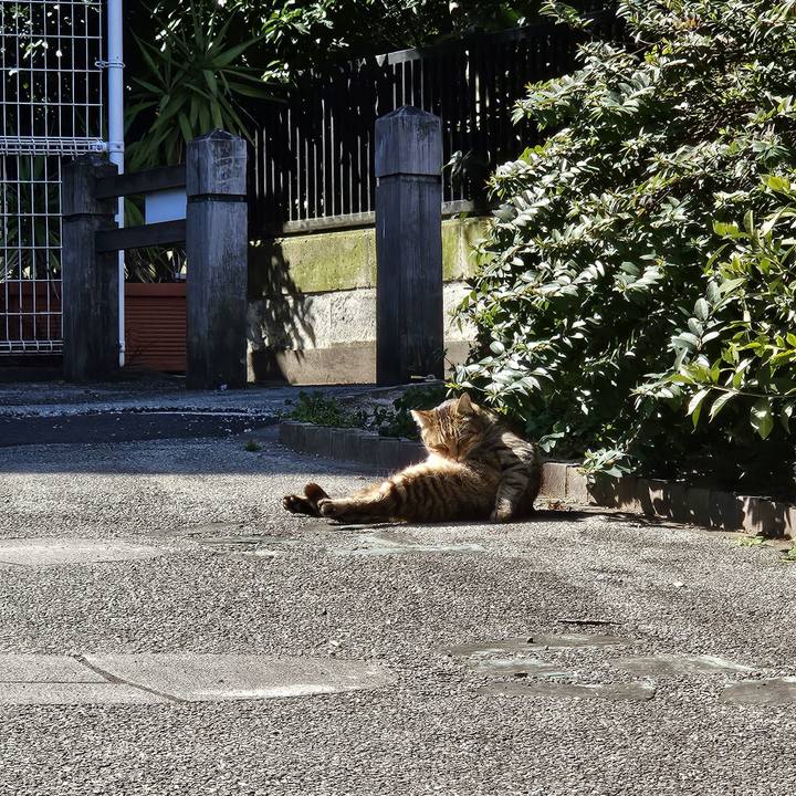 Afb9cbe9 cbd2 46f4 b5c3 013a1f71835f 1709434061423