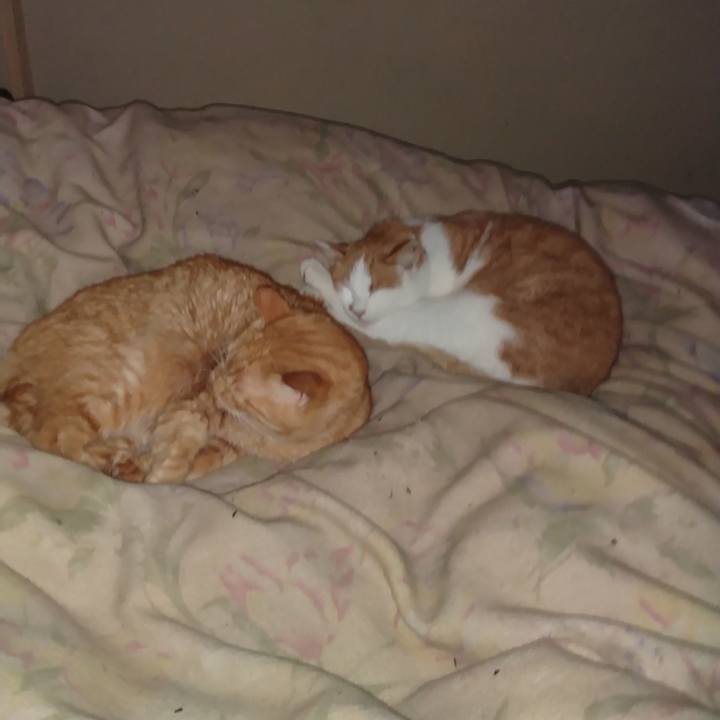 Afb9f382 eed3 4676 8a89 5c52286ef9e8 1767210183966