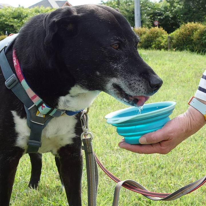 Afb9f91e 4bb0 4f1c bfce ff6bedb36045 1748479806425