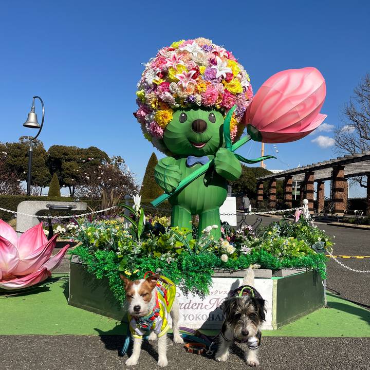 Afba3793 b125 4006 9311 cfd89bc678f3 1769786885103