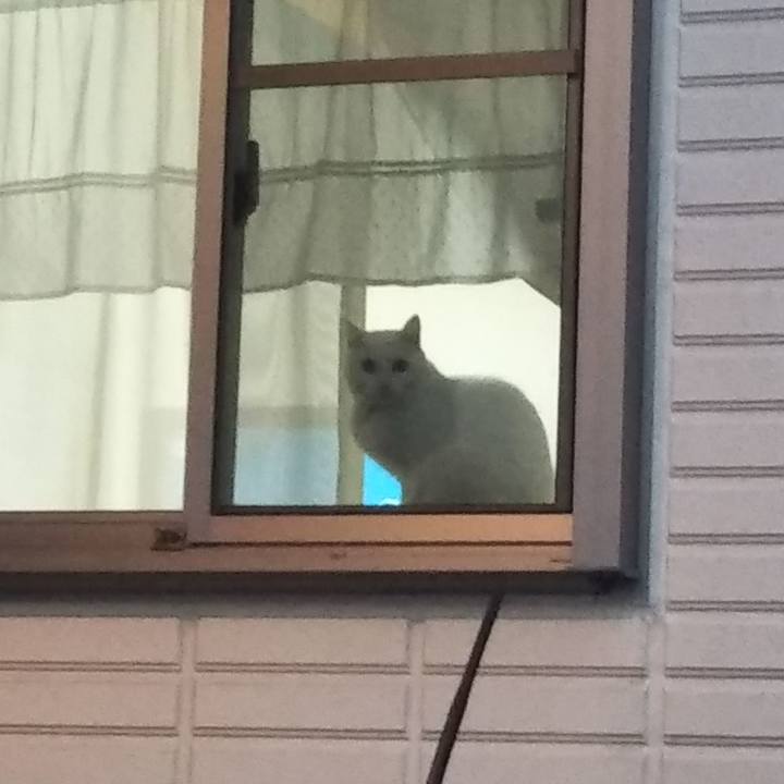 Afba8c73 600c 4c54 ab25 48fbba0bed8b 1670449989648