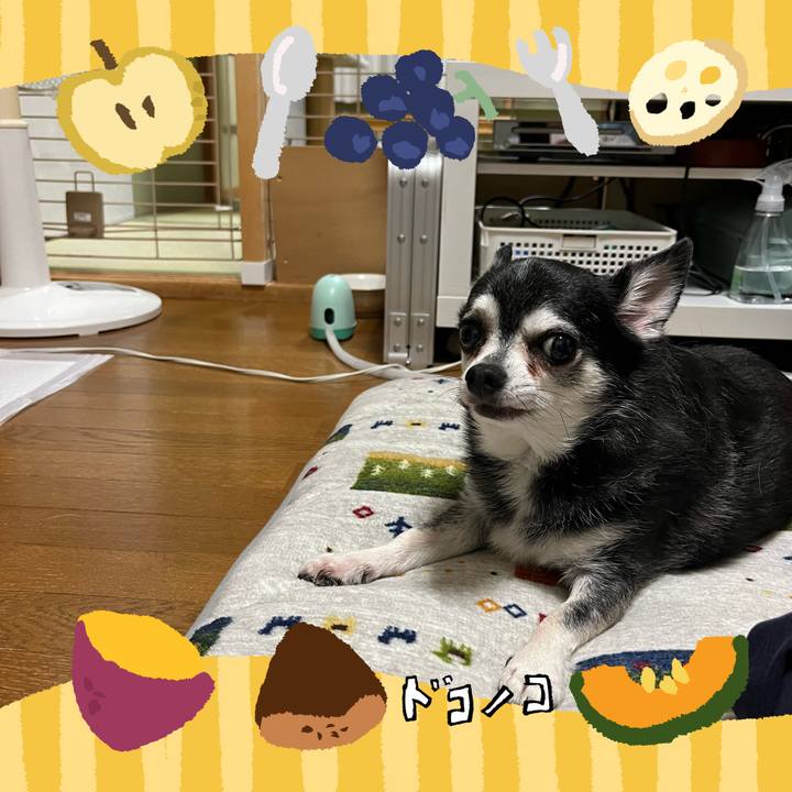 Afbaced7 4c4d 4b8f a844 817d2f4540fa 1727332380316