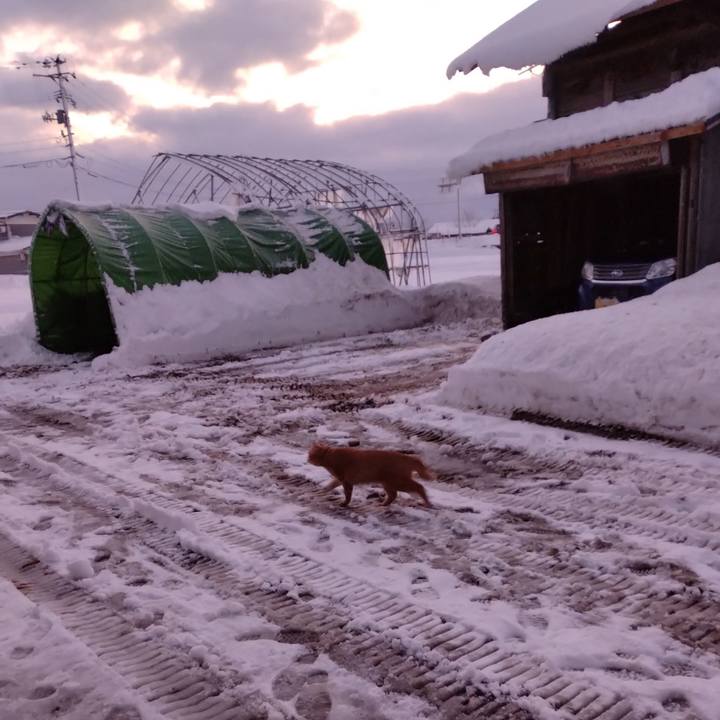 Afbad69a 2f40 4979 aa6f d1a1e493fed4 1672009635436