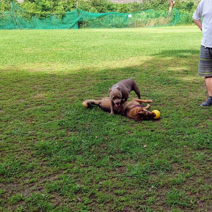 Afbb1828 3eb4 46d1 acb6 d08cb0b260bf 1720313104207